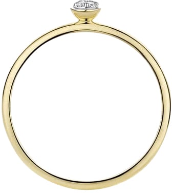 Blush Blush Ring 1199YZI/54 14k Geelgoud met Zirkonia Maat 54 Goud