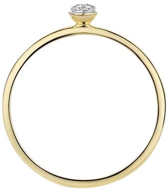 Blush Blush Ring 1199YZI/54 14k Geelgoud met Zirkonia Maat 54 Divers