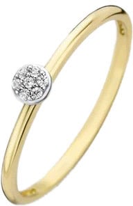 Blush Blush Ring 1199YZI/54 14k Geelgoud met Zirkonia Maat 54 Divers