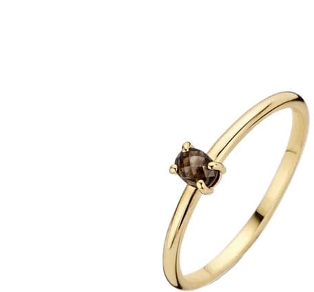 Blush Blush Ring 1204YSQ/54 14k Geelgoud met Smokey Quartz Maat 54 Divers