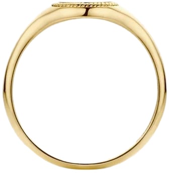 Blush Blush Zegelring 1205YGO/54 14k Geelgoud met Motief Maat 54 Divers