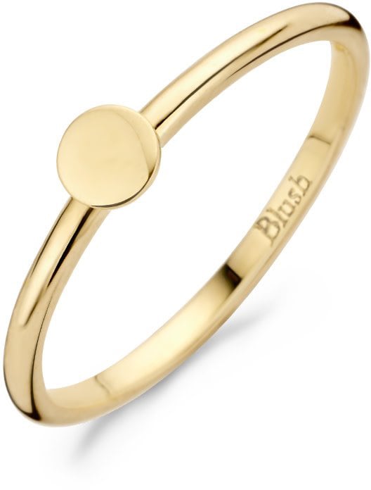 Blush Blush Ring 1212YGO/52 14k Geelgoud met CircelMaat 52 Goud