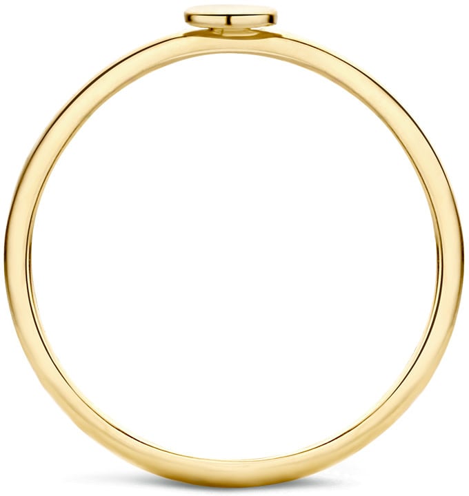 Blush Blush Ring 1212YGO/52 14k Geelgoud met CircelMaat 52 Goud