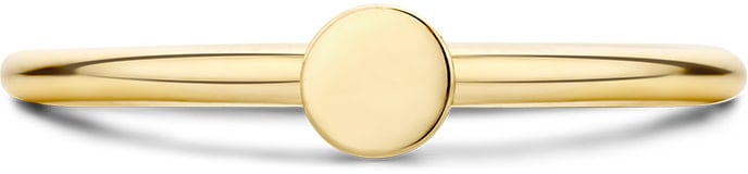 Blush Blush Ring 1212YGO/52 14k Geelgoud met CircelMaat 52 Goud