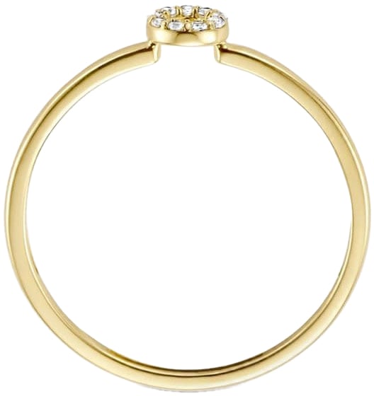 Blush Blush Ring 1217YZI/54 14k Geelgoud Cirkel Gezet met Zirkonia Maat 54 Goud