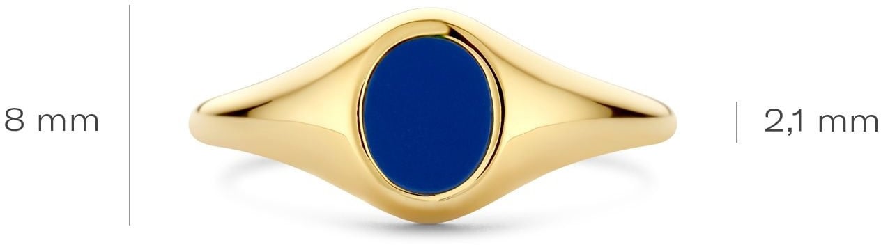 Blush Blush Ring 1219YLA/52 14k Geelgoud Zegelring Lapis Maat 52 Goud