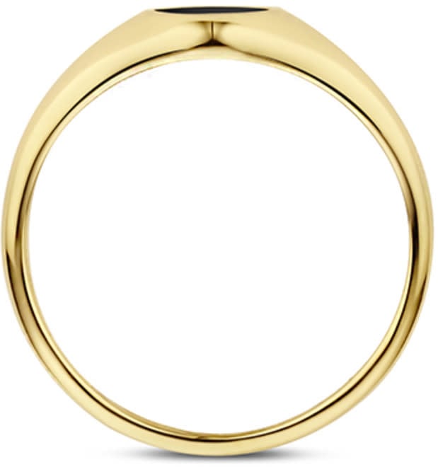 Blush Blush Ring 1219YON/54 14k Geelgoud Zwarte Onyx Maat 54 Goud