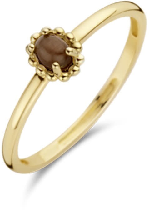 Blush Blush Ring 1225YCB/54 14k Geelgoud met Tigeroog Maat 54 Goud