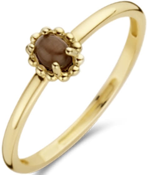 Blush Blush Ring 1225YCB/54 14k Geelgoud met Tigeroog Maat 54 Goud