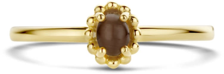 Blush Blush Ring 1225YCB/54 14k Geelgoud met Tigeroog Maat 54 Goud