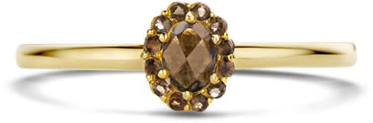 Blush Blush Ring 1226YSQ/50 14k Geelgoud met grote Smokey Quartz Maat 54 Goud