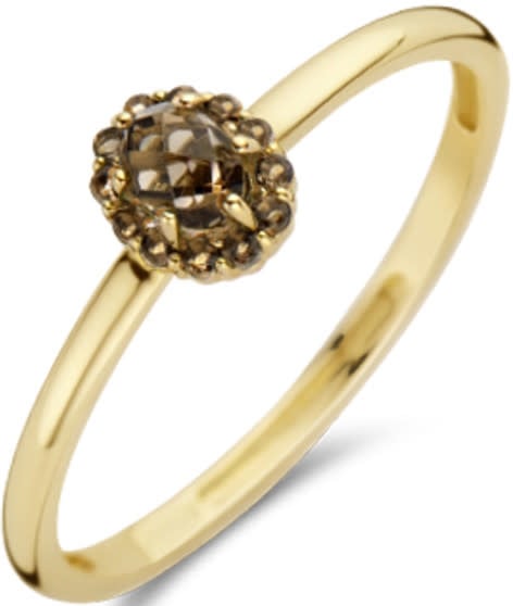 Blush Blush Ring 1226YSQ/50 14k Geelgoud met grote Smokey Quartz Maat 54 Goud