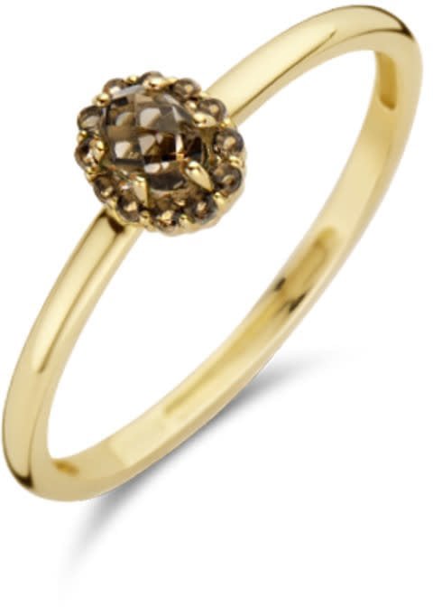 Blush Blush Ring 1226YSQ/50 14k Geelgoud met grote Smokey Quartz Maat 54 Goud