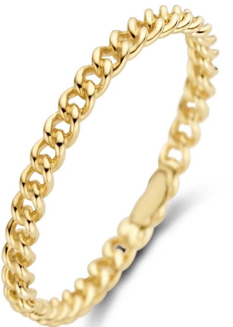 Blush Blush Ring 1229YGO/54 14k Geelgoud Gourmette Maat 54 Goud