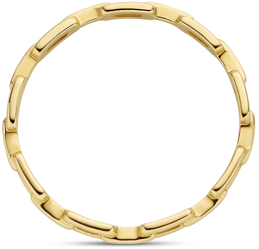 Blush Blush Ring 1230YGO/54 14k Geelgoud Closed Forever Maat 54 Goud