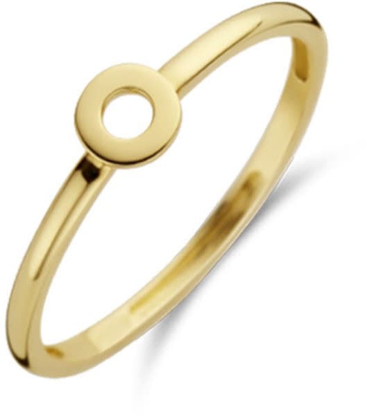 Blush Blush Ring 1233YGO/54 14k Geelgoud met Cirkel Maat 54 Divers