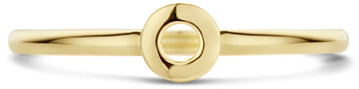 Blush Blush Ring 1233YGO/54 14k Geelgoud met Cirkel Maat 54 Divers