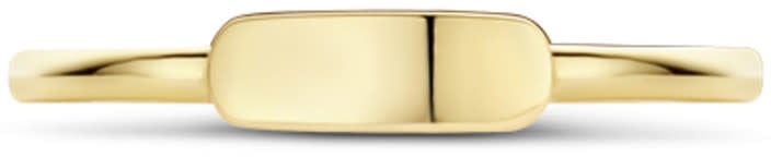 Blush Blush Ring 1236YGO/54 14k Geelgoud met Vlakke Plaat Maat 54 Divers