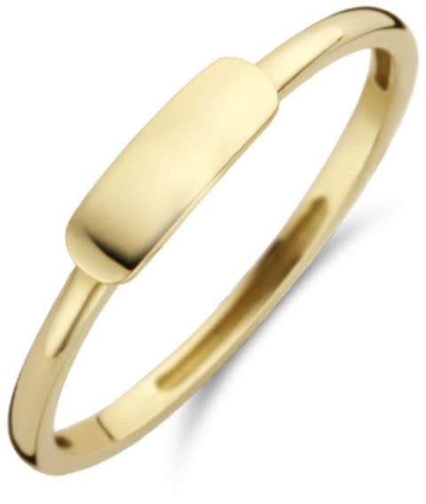 Blush Blush Ring 1236YGO/54 14k Geelgoud met Vlakke Plaat Maat 54 Divers