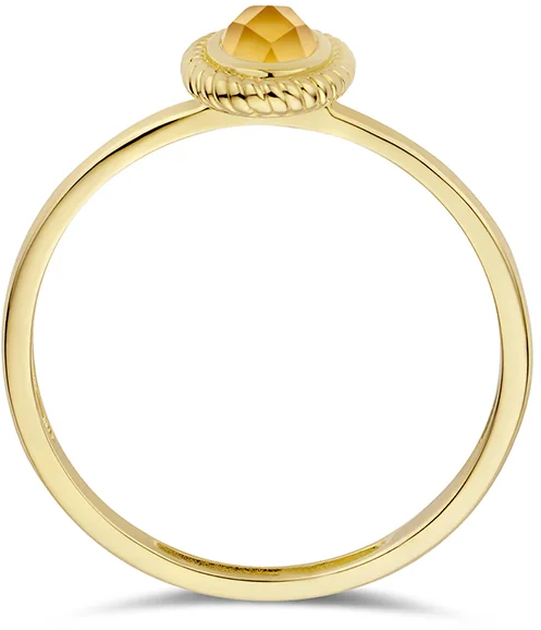 Blush Blush Ring 1239YMC/54 14k Geelgoud met Citrien Maat 54 Goud