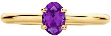 Blush Blush Ring 1242YAM/54 14k Geelgoud met Amethyst Maat 54 Goud