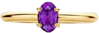 Blush Blush Ring 1242YAM/54 14k Geelgoud met Amethyst Maat 54 Goud