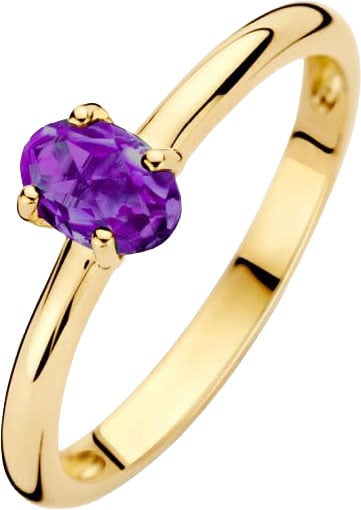 Blush Blush Ring 1242YAM/54 14k Geelgoud met Amethyst Maat 54 Goud