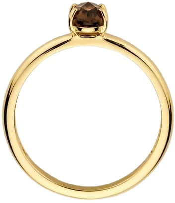 Blush Blush Ring 1242YSQ/56 14k Geelgoud met Smokey Quartz Maat 56 Divers