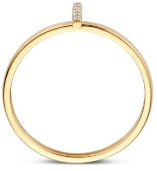 Blush Blush Ring 1259YZI/54 14k Geelgoud met Zirkonia Maat 54 Goud
