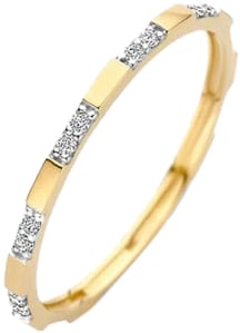 Blush Blush Ring 1260YZI/54 14k Geelgoud met Zirkonia Maat 54 Divers