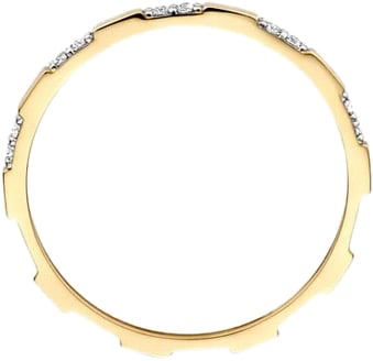 Blush Blush Ring 1260YZI/54 14k Geelgoud met Zirkonia Maat 54 Divers