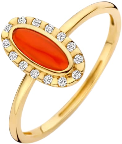 Blush Blush Ring 1266YRA/54 14k Geelgoud met Rood Agaat en Zirkonia Maat 54 Goud