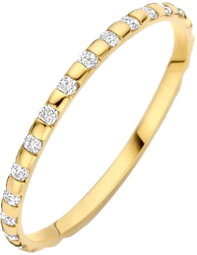 Blush Blush Ring 1268YZI/54 14k Geelgoud met Zirkonia Maat 54 Goud