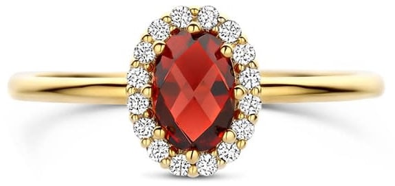 Blush Blush Ring 1271YGA/54 14k Geelgoud met Granaat en Zirkonia 6.7mm x 8.6mm Maat 54 Divers