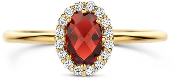Blush Blush Ring 1271YGA/54 14k Geelgoud met Granaat en Zirkonia 6.7mm x 8.6mm Maat 54 Divers