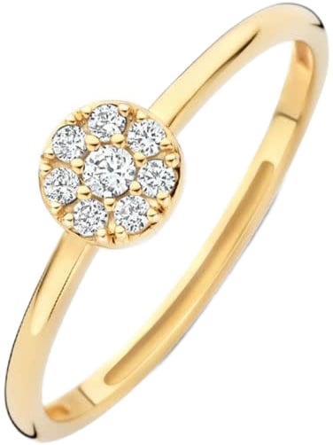 Blush Blush Ring 1277YZI/56 14k Geelgoud met Meerdere Zirkonia's Maat 56 Goud