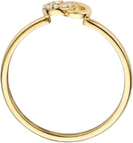 Blush Ring 1282YZI/54 14k Geelgoud 2x Circle met Zirkonia Maat 54 Goud