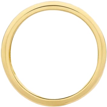 Blush Blush Ring 1607BDI/54 14k Geelgoud met Diamant Maat 54 Divers