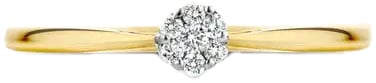 Blush Blush Ring 1609BDI/58 14k Geelgoud 0.07ct G SI Briljant geslepen Diamant Maat 58 Goud
