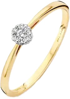 Blush Blush Ring 1609BDI/58 14k Geelgoud 0.07ct G SI Briljant geslepen Diamant Maat 58 Goud