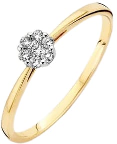 Blush Blush Ring 1610BDI/54 14k Geelgoud 0.11crt G SI Briljant geslepen Diamant Maat 54 Divers