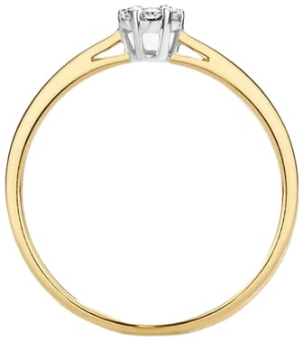 Blush Blush Ring 1610BDI/54 14k Geelgoud 0.11crt G SI Briljant geslepen Diamant Maat 54 Divers