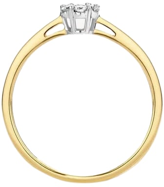 Blush 1611BDI/54 Ring 14 krt goud met diamant maat 54 Divers