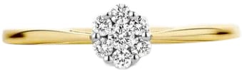 Blush 1611BDI/54 Ring 14 krt goud met diamant maat 54 Divers