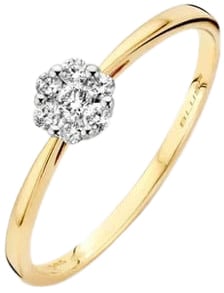 Blush 1611BDI/54 Ring 14 krt goud met diamant maat 54 Divers