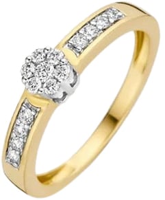 Blush Blush Ring 1624BDI/56 14k Geelgoud 0,25crt G SI Briljant geslepen Diamant Maat 56 Divers