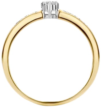 Blush Blush Ring 1625BDI/54 14k Geelgoud 0,12crt G SI Briljant geslepen Diamant Maat 54 Divers