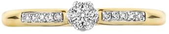 Blush Blush Ring 1625BDI/54 14k Geelgoud 0,12crt G SI Briljant geslepen Diamant Maat 54 Goud