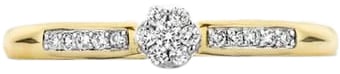 Blush Blush Ring 1625BDI/54 14k Geelgoud 0,12crt G SI Briljant geslepen Diamant Maat 54 Divers