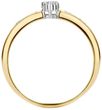 Blush Blush Ring 1625BDI/54 14k Geelgoud 0,12crt G SI Briljant geslepen Diamant Maat 54 Goud